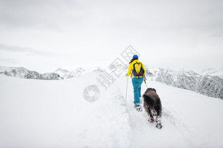 活动在山上雪鞋一只单身女人与她心爱的狗远足攀登图片