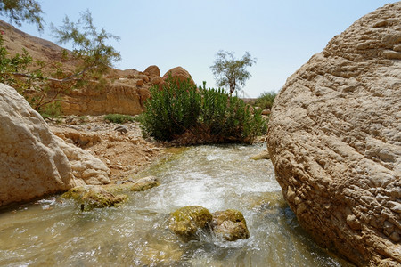 自然景观约旦WadiIbnHammad沙漠的小溪峡谷图片