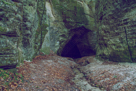 团体景观爬2014年拉脱维亚美丽的洞穴2014年在公园里依尔斯柯在白岩石上图片