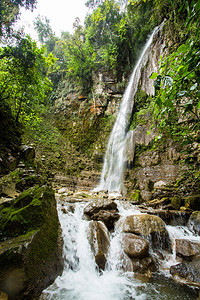 多米尼克森林希利特拉墨西哥Xilitla遗址的热带瀑布图片