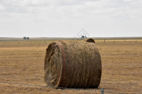 场地农田南达科他州大片农村土地上的滚干草块景观图片