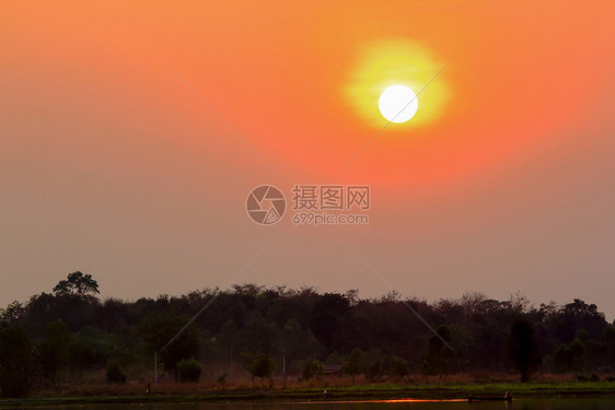 环境云太阳日落和树枝的圆影图片