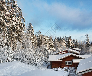 季节松树小屋冬季雪林风景中的木屋冬雪风景中的木屋图片