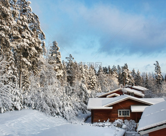 季节松树小屋冬季雪林风景中的木屋冬雪风景中的木屋图片