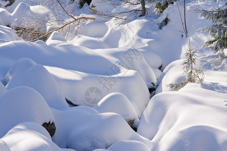 冬天的雪地图片