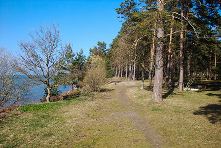 安详海洋岸波罗的沿瑞典群岛奥兰的足道图片