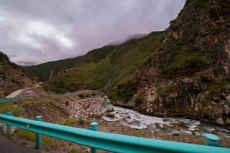 树有雾山坡在云中躺着青绿的阴锥被迷雾笼罩在景色风中薄雾图片