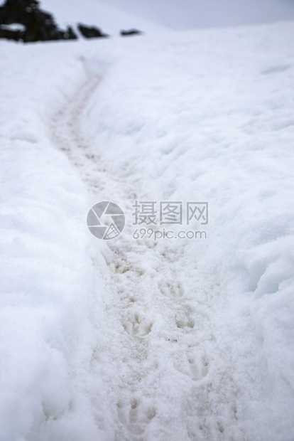 企鹅高速公路由深雪形成许多企鹅的脚足迹印阅读驱动器图片