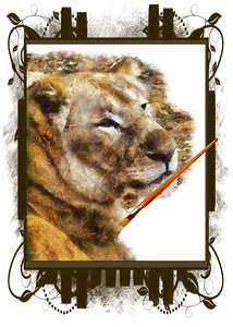 墨水艺术家在画布上绘狮子的插图帆布框架图片