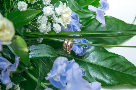 爱戒指两环和绿叶拉托维亚艺术婚礼照片2017年美丽的图片