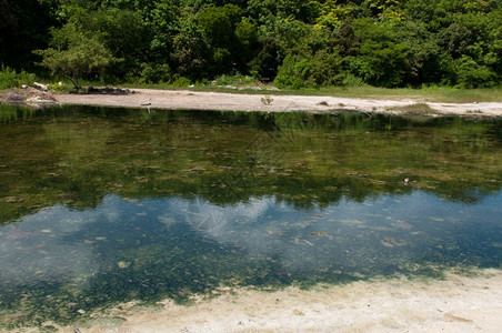 野生草地湖泊图片