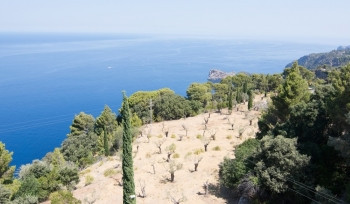 水自然7月西班牙巴利阿里群岛马洛卡西部海洋观景场形式图片