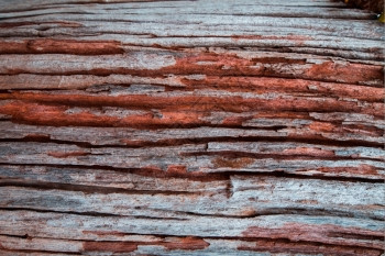 柴采用皮肤树木作为天然本底用途的纹理图片
