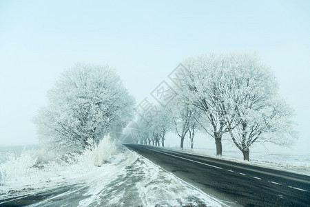 美丽的圣诞节胡同冬季风景道路和冷冻树木小巷图片