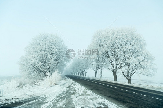 美丽的圣诞节胡同冬季风景道路和冷冻树木小巷图片