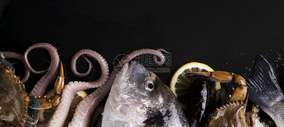 吸盘美味的新鲜鱼和海健康饮食概念最高视图全景像冰图片