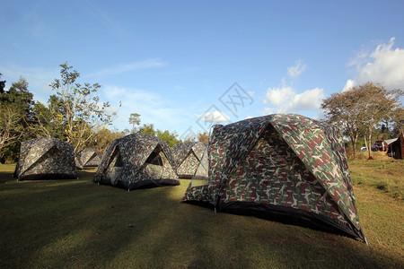 荒野门户14营地工的帐篷季节图片