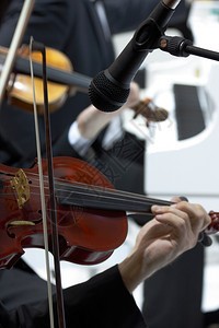 字符串声音古典乐录小提琴家图片