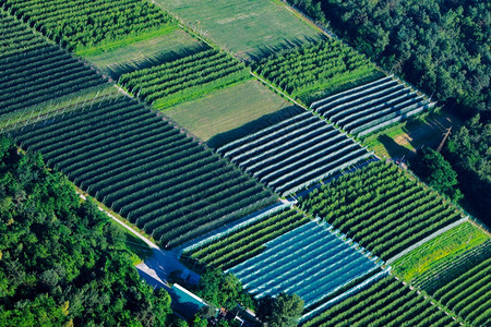 生长苗圃栽培的从一架直升机上看到的大型种植温室面积图片