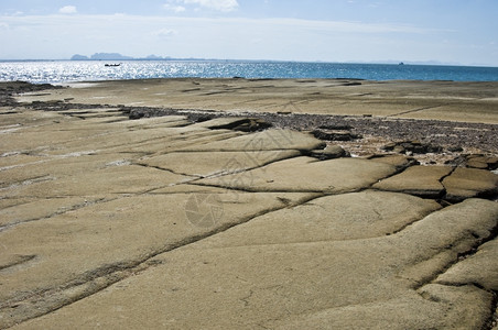 石化的质地有关泰国贝壳化石海滩的详情背景图片