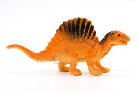 白色背景的脊柱龙玩具模型绿色肉食动物迪诺图片