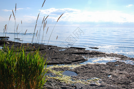 结石在海岸边草原上流着闪亮的平静水奥兰沿海图片