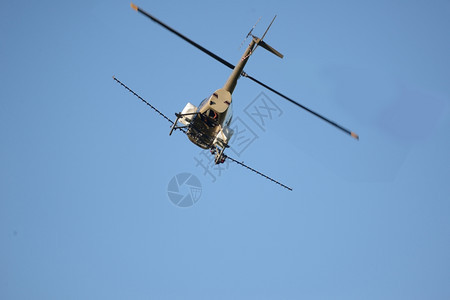 农业飞行一架直升机在新西兰一个冰冻的海岸早上喷洒一个农场内含肥料运输图片