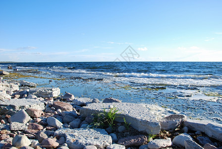 海岸线夏天风景优美波罗的海瑞典群岛奥兰德平板岩石海岸观图片