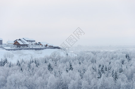 苍白马利俄罗斯北部Arkhangelsk地区MalyeKorely村雪林高处的冬季风景观针叶树图片