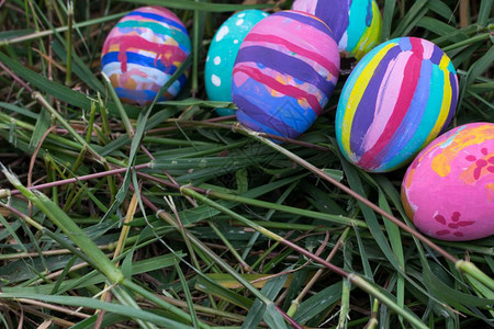 可选择的青草焦点复活节鸡蛋假期丰富多彩的图片