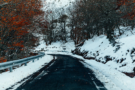 冬季的河谷和雪山森林图片