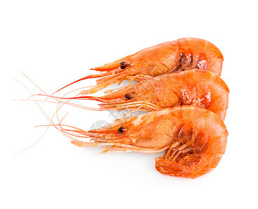 水平的虾晚餐在白色背景上被孤立的Shrimps图片