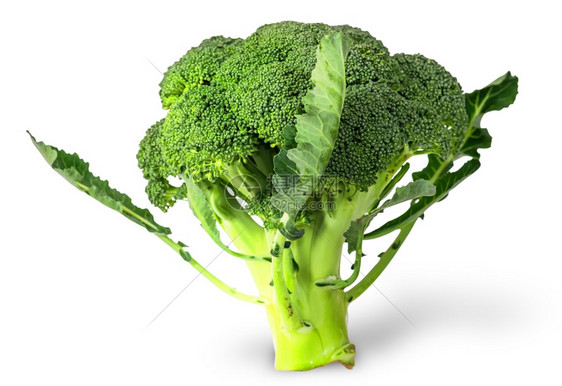 健康蔬菜西蓝花图片