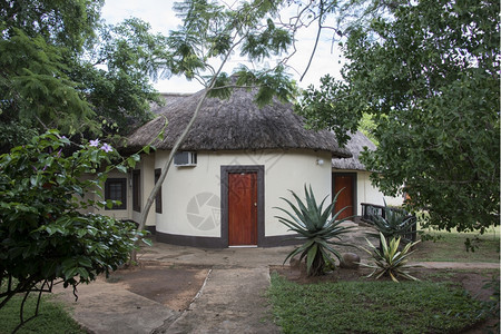 植物Africanrondavel作为度假之家在南非洲的一个小屋休息酒店图片