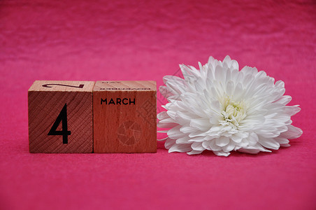 3月4日用粉红背景的白箭头在木制块上行进雏菊美丽一种图片