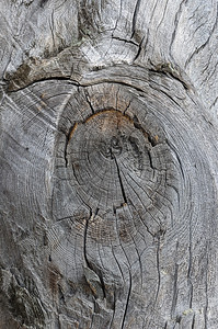 粗糙的木材带结旧凿纹理关闭图片