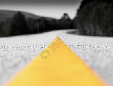黄色车道线黑白交通路背景高清黄色车道线黑白交通路背景森林作品场图片