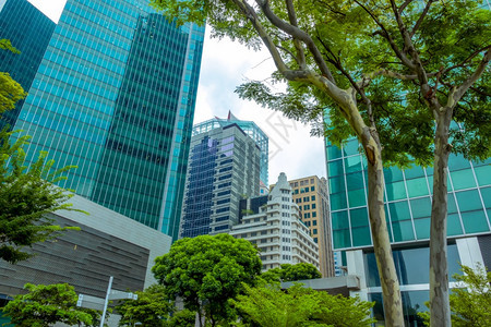 新加坡现代办公摩天大楼和绿树新加坡现代化办公摩天大楼和绿树现代的正面天际线图片