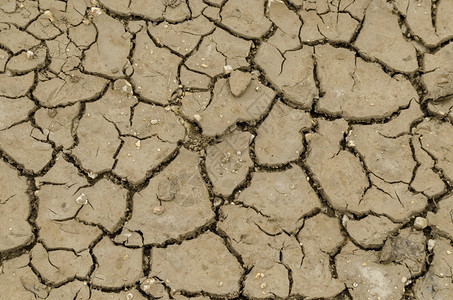 地球干旱保加利亚卢多戈里附近田地干燥的土夏天图片
