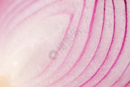 美味的单身目紫洋葱美味食物图片