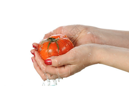 蔬菜洗红西番茄在白底孤立的水下清洗在面生的图片