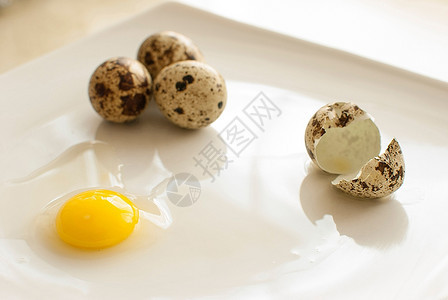 健康新鲜有机蛋食用棕色的饮图片