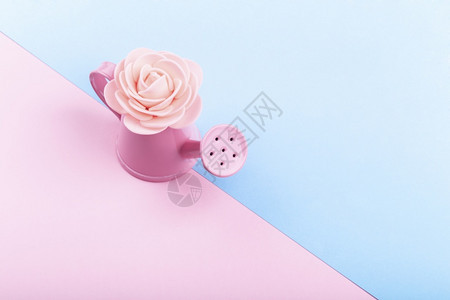 盛开爱好粉红水可以用彩色背景的人工玫瑰浇灌作室图片