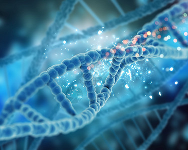 使成为静脉有机的3D提供带有DNA条的医学背景图片