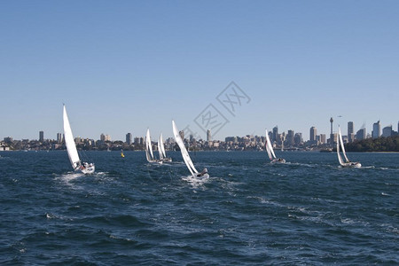 城市的场景澳大利亚冬季早晨悉尼的详情12月8日港口图片