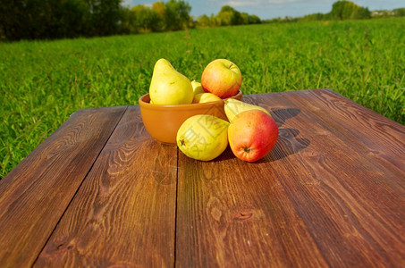 田间地头的苹果图片