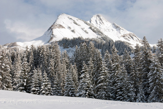 冬天顶峰奥地利WarthSchrocken村附近的阿尔卑斯山景沃思施罗肯图片