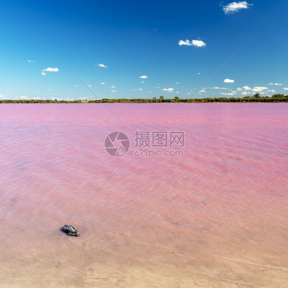 海岸位于澳大利亚维多州Dimboola附近的粉红湖自然明亮的图片