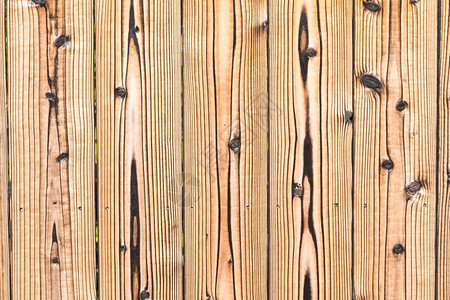 自然旧木墙松现场的源头风化木制图片