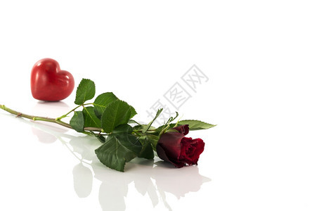 红玫瑰心脏形状白无声单身的紫色展示图片